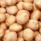 Potato Commission tries again to end Canadian anti-dumping duty