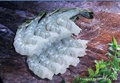 US increases tariffs on Vietnamese shrimps