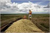Argentina urges talks on China soy export ban