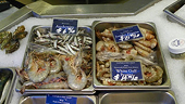 Imported Seafood May Be Riskier Than Gulf Fare