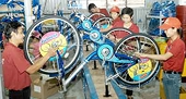 Can Vietnam ride in as door to EU bicycle market opens a crack?