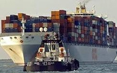Chinese academics: Protectionism burdens China's exporters