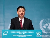 China strives to build open, optimal investment environment for foreign firms: vice president