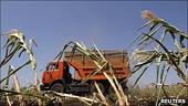 Russian President signals end to grain export ban