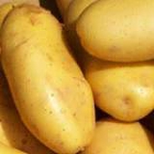 Canadian International Trade Tribunal Issues Order: Certain Whole Potatoes