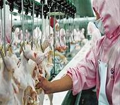 China levies steep final duties on U.S. chicken parts