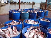 Tra fish anti-dumping tariff disputed