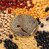 Ukrainian PM admits grain export quotas possible