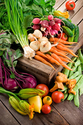 Russia Agrees to Cut Farm Subsidies by 50% to Join WTO, Kommersant Reports
