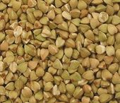 Kazakhstan to impose ban for vegetable oils and buckwheat groats exports for 6-month term