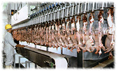 Russia : Call for Poultry Meat Import Ban