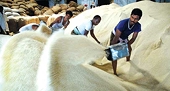 India: PM firm on rice export ban