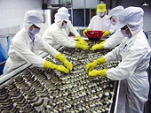 WTO begins hearing on Vietnam’s shrimp lawsuit