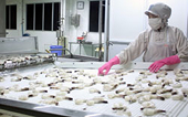 WTO hears Viet Nam's complaint against US