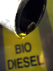 Australia: Customs makes preliminary finding of US biodiesel dumping