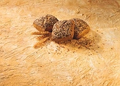 Russia to lift flour export embargo