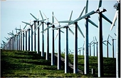 Official blasts U.S. 301 probe of Chinese clean energy policies