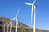 U.S. barking up wrong tree by picking at China's clean energy industry
