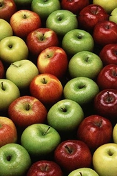New Zealand wins WTO appeal on Australia apple ban
