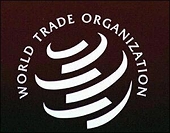 Anti-dumping investigations fall in first half - WTO