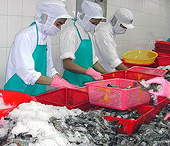US imposes anti-dumping taxes on Vietnamese shrimp