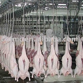 China Lifts Bans on Poultry Imports from 2 U.S. States
