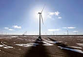 China Says Wind, Solar Subsidies WTO Compliant