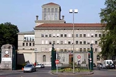Ukraine: import duties imposition for the certain varieties of the commodities to come to agreement with WTO