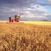 EU: New CAP Must Be Fundamentally Different