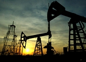 Ukraine Plans to Impose Duties on Oil Products to Limit Imports