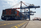 Viet Nam: Export markets erect new trade barriers