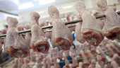 Poultry Producers Preparing Anti-Dumping Case Against Brazil, Astral Says
