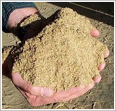 India has stopped exporting animal feed to Vietnam? It’s just intimidation