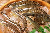US Cuts Dumping Duty On Indian Shrimp Imports