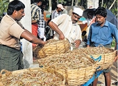 US anti-dumping duty on Indian shrimp cut to 1.7%