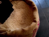 India wheat, non-basmati rice export ban may continue: USDA