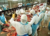 South Africa - Concerns over Brazilian poultry