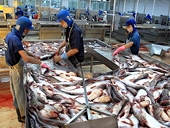 Prospect for Vietnamese Tra fish exporters