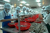 Vietnam: More firms to export aquatic products to EU