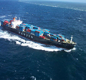 BRICS Prod China's Hu to Import Value-Added Goods as Well as Raw Materials
