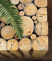 MTIB to monitor M’sia-S. Korea timber trade