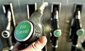 Australia imposes dumping duty on U.S. biodiesel