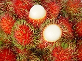 US Department of Agriculture okaysrambutan from Vietnam