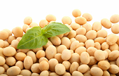 EU starts investigation on China soy protein