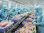 Export products from Vietnam gaining popularity