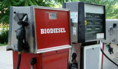 EU biodiesel firms probe new loophole on US import duties
