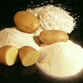 China finds EU members subsidize exports of potato starch to China