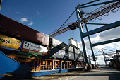 US, partners set target for TransPacific trade deal
