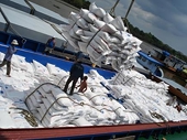 Viet Nam trade with South Asian neighbors soars