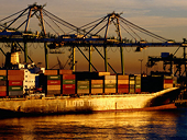 G20 members lower anti-dumping duty initiations in Oct - Apr